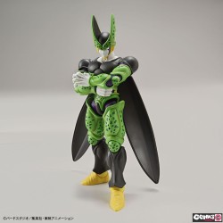 Maquette - Figure Rise - Dragon Ball