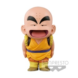 Static Figure - Dragon Ball...