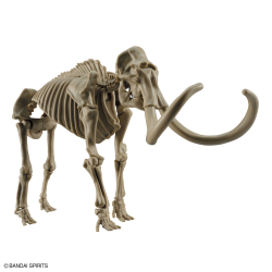 Modell - Vorgeschichte - Mammoth