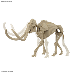 Modell - Vorgeschichte - Mammoth