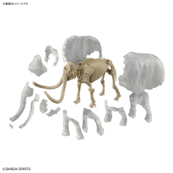 Modell - Vorgeschichte - Mammoth