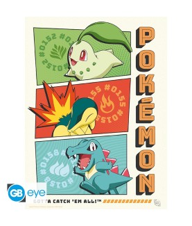 Poster - Flat - Pokemon - Starters