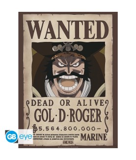 Poster - Set of 2 - One Piece - Wanted Roger & Newgate