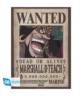 Poster - Pack de 2 - One Piece - Wanted Shanks & Teach