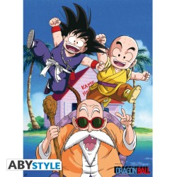 Poster - Flat - Dragon Ball...