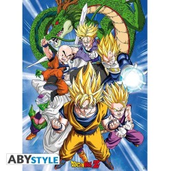 Poster - Flat - Dragon Ball...