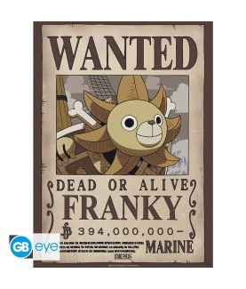 Poster - Set of 2 - One Piece - Wanted Brook & Franky