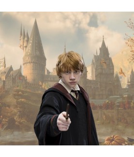 Wand - Characters collection - Harry Potter - Ronald Weasley