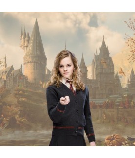 Baguette - Collection Personnages - Harry Potter - Hermione Granger