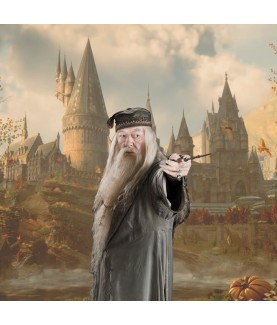 Wand - Characters collection - Harry Potter - Albus Dumbledore