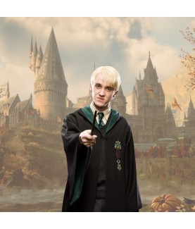 Zauberstab - Sammlung Charaktere - Harry Potter - Draco Malfoy