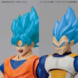 Modell - Figure Rise - Dragon Ball - Super Saiyan Full Power - Broly