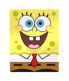 Card Box - SpongeBob SquarePants - Boulder 100+ - SpongeBob SquarePants